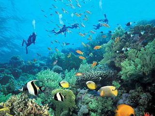 【巴厘岛】4晚6天,含蓝梦岛一日游                                     